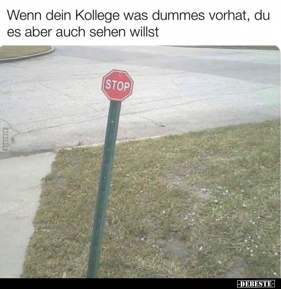 Wenn dein Kollege was dummes vorhat.. - Lustige Bilder | DEBESTE.de