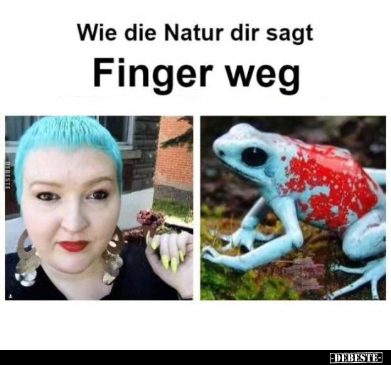 Wie die Natur dir sagt Finger weg.. - Lustige Bilder | DEBESTE.de