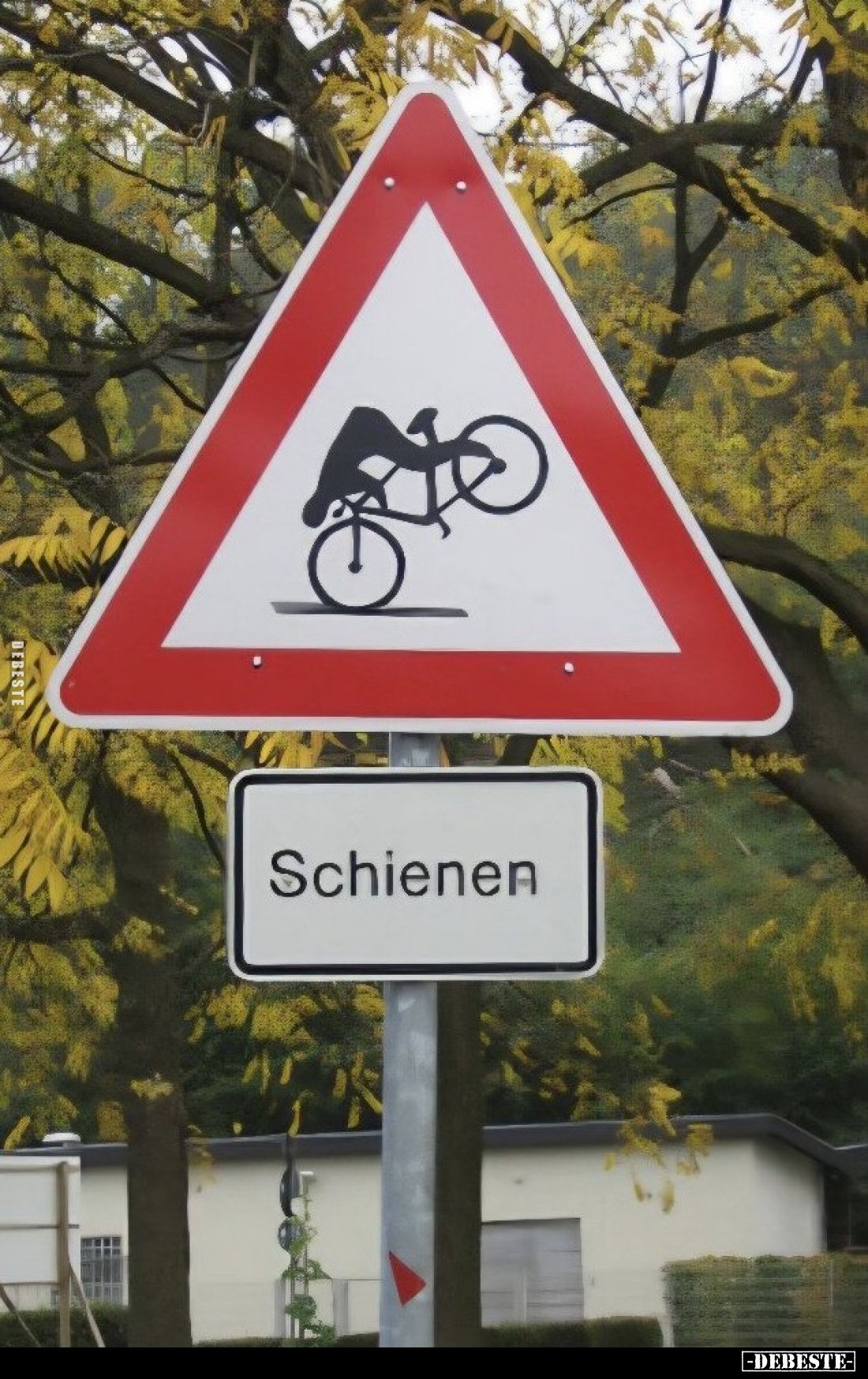  - Lustige Bilder | DEBESTE.de