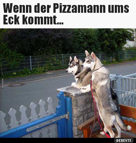 Wenn der Pizzamann ums Eck kommt... - Lustige Bilder | DEBESTE.de