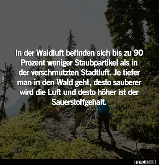 In der Waldluft befinden sich bis zu 90 Prozent weniger.. - Lustige Bilder | DEBESTE.de