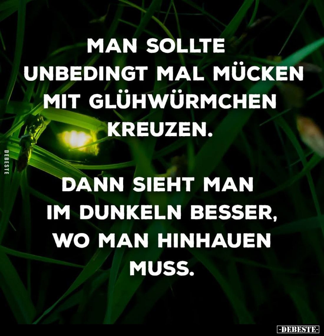 Man sollte unbedingt mal Mücken mit Glühwürmchen kreuzen.
Dann sieht man im Dunkeln besser, wo man hinhauen muss.
