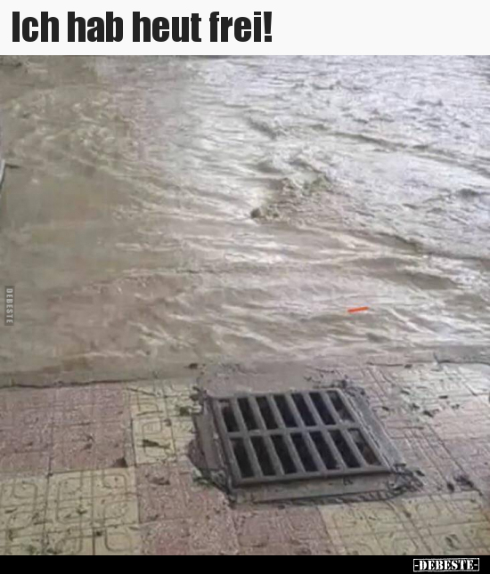 Ich hab heut frei!..