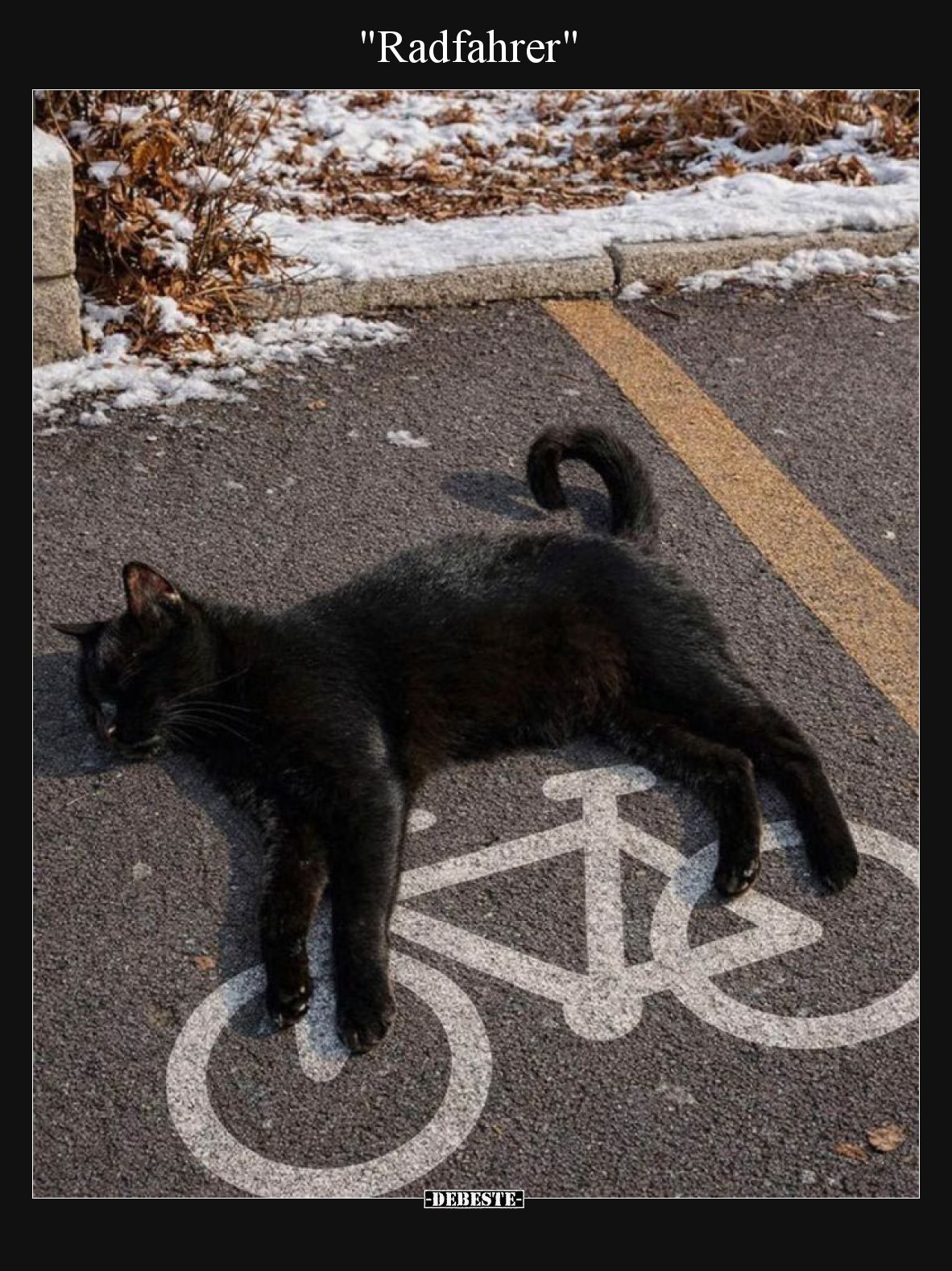 "Radfahrer".. - Lustige Bilder | DEBESTE.de