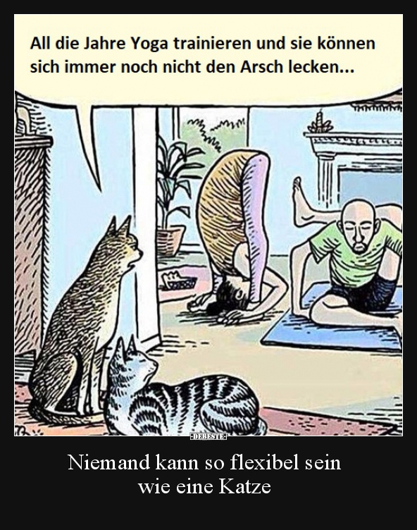 Niemand kann so flexibel sein wie eine Katze.. - Lustige Bilder | DEBESTE.de