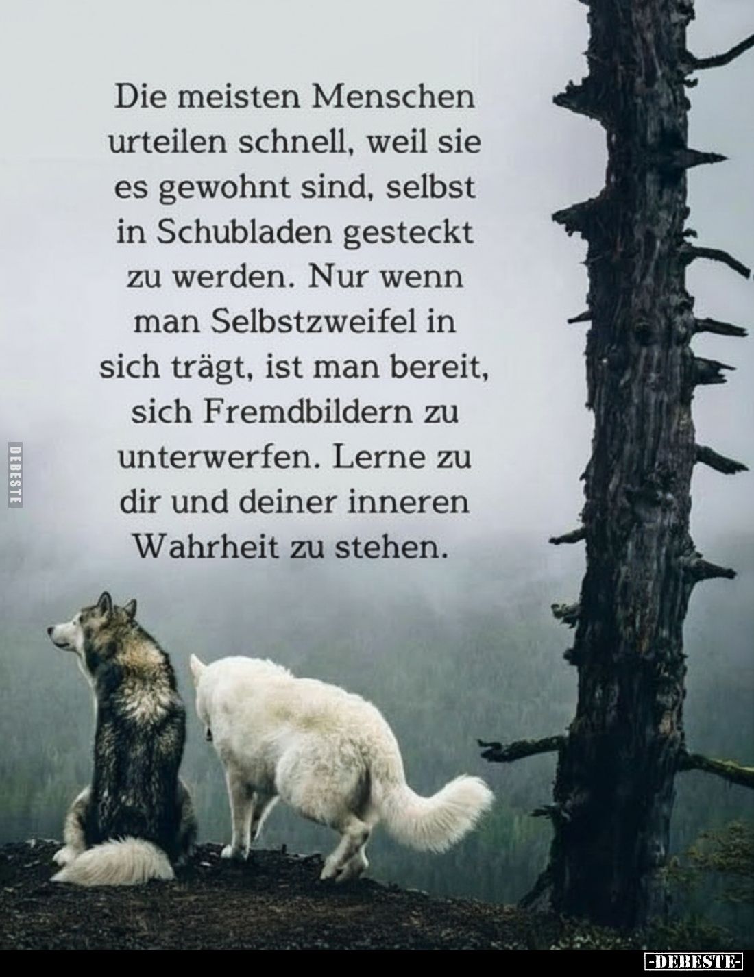 Die meisten Menschen urteilen schnell, weil sie es gewohnt sind, selbst in Schubladen gesteckt zu werden. Nur wenn man Selbst...