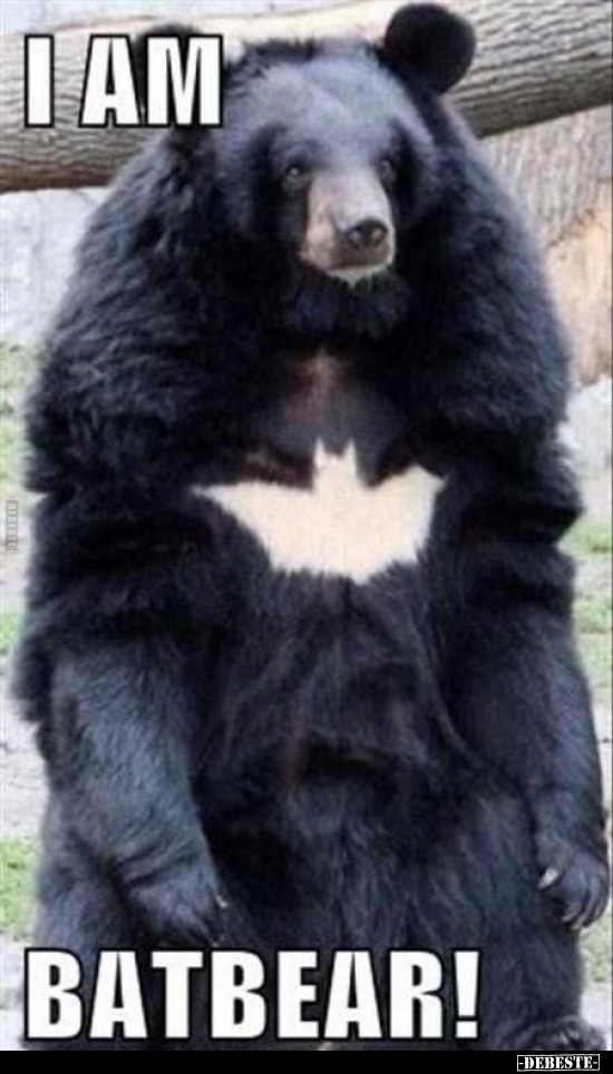  - Lustige Bilder | DEBESTE.de