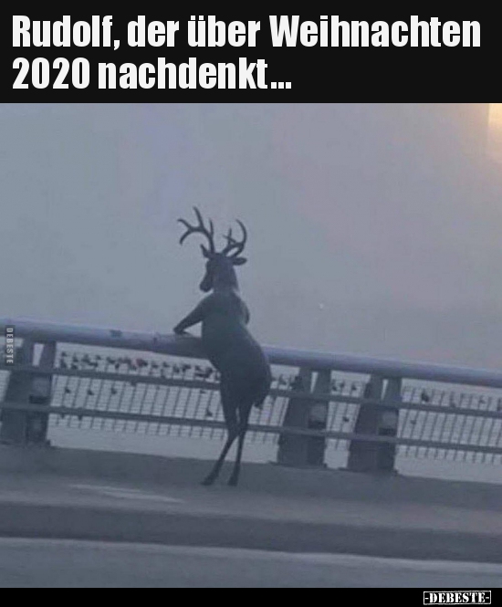 Rudolf, der über Weihnachten 2020 nachdenkt... - Lustige Bilder | DEBESTE.de