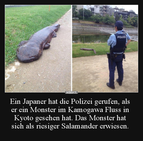 Ein Japaner hat die Polizei gerufen, als er ein Monster im.. - Lustige Bilder | DEBESTE.de