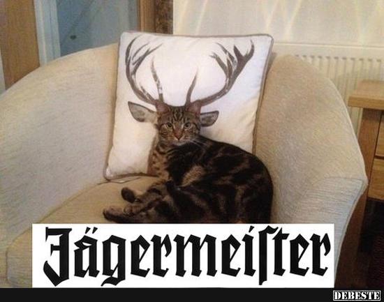 Jägermeister.. - Lustige Bilder | DEBESTE.de