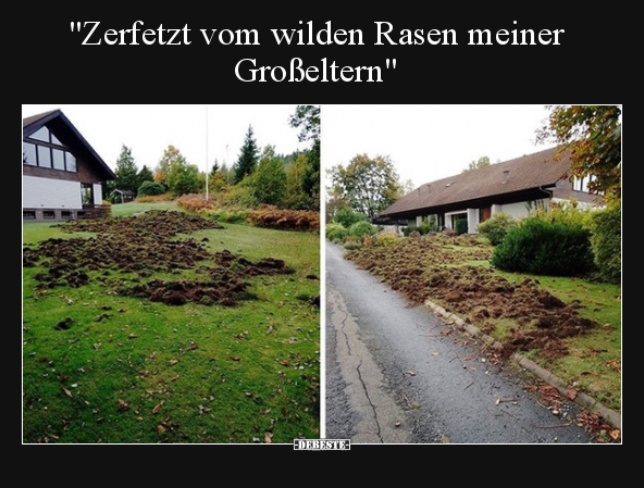 "Zerfetzt vom wilden Rasen meiner Großeltern".. - Lustige Bilder | DEBESTE.de