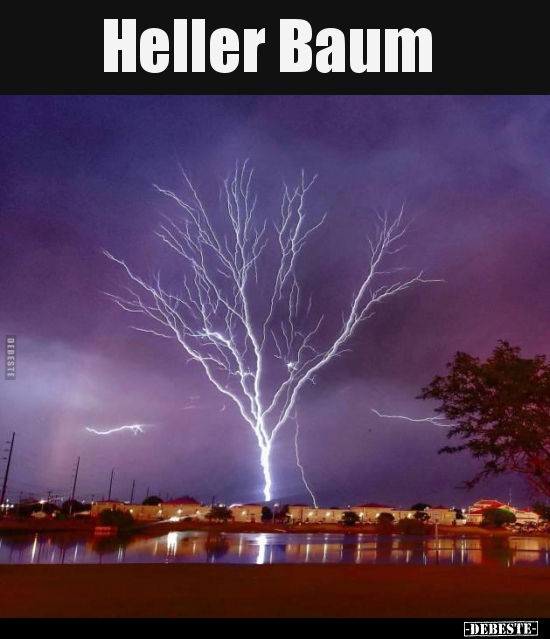 Heller Baum..