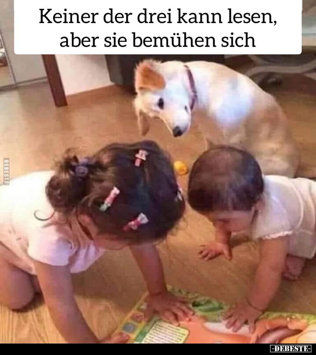 Keiner der drei kann lesen, aber sie bemühen sich