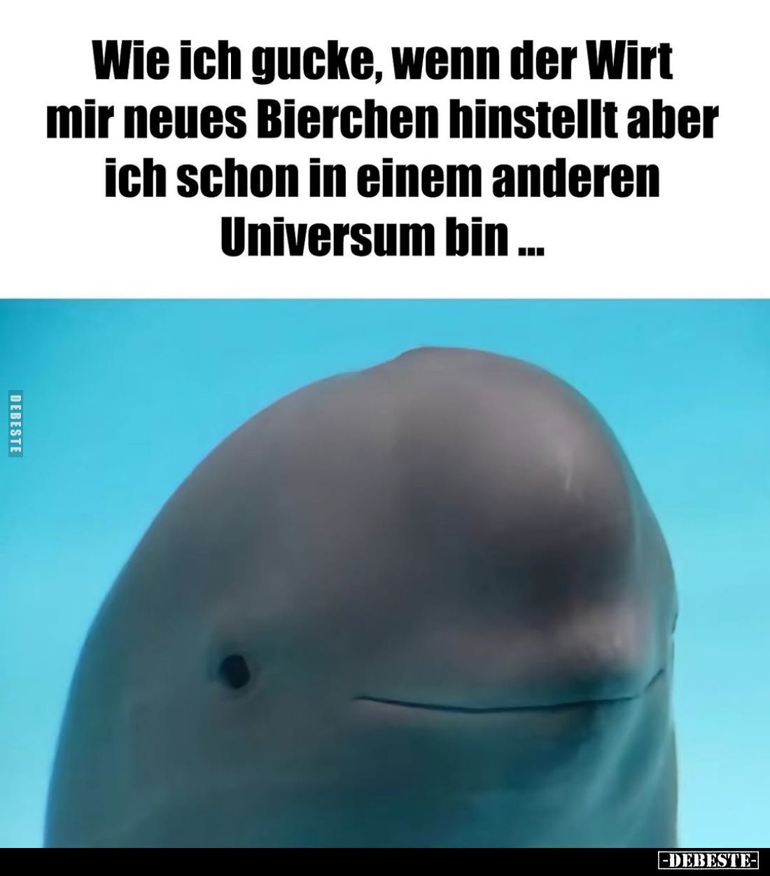 Wie ich gucke, wenn der Wirt mir neues Bierchen hinstellt aber ich schon in einem anderen Universum bin ...