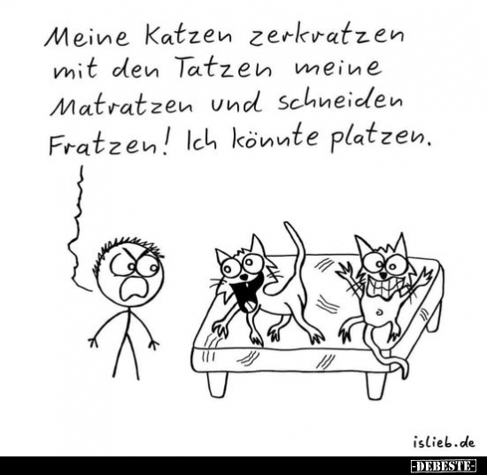 Meine Katzen zerkratzen mit den Tatzen meine Matratzen und.. - Lustige Bilder | DEBESTE.de