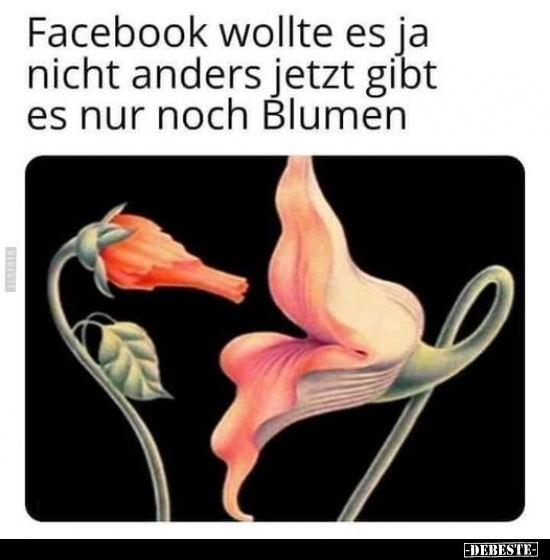 Facebook wollte es ja nicht anders jetzt gibt es nur noch.. - Lustige Bilder | DEBESTE.de