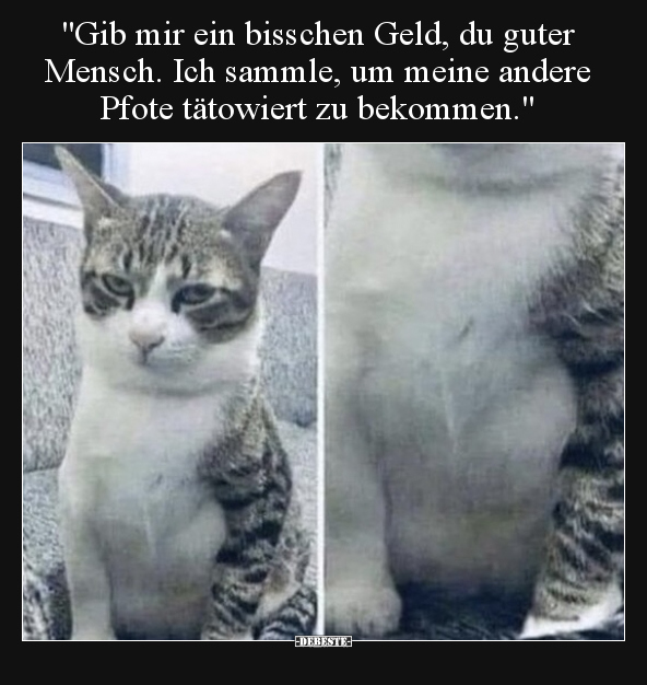 "Gib mir ein bisschen Geld, du guter Mensch..." - Lustige Bilder | DEBESTE.de