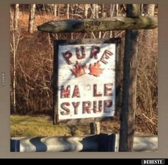  - Lustige Bilder | DEBESTE.de