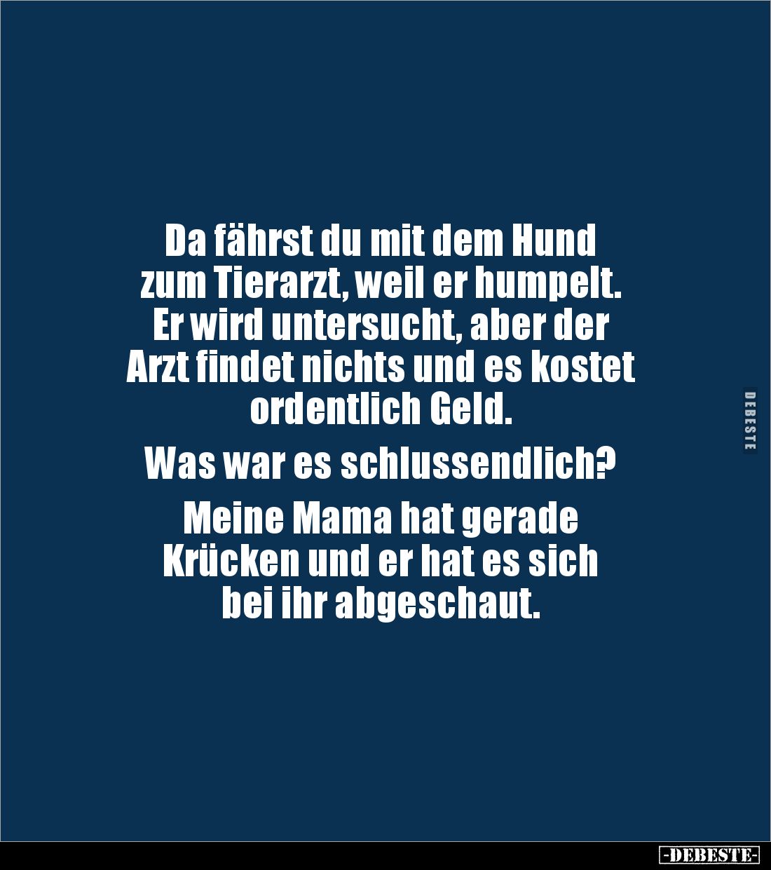 Da fährst du mit dem Hund zum Tierarzt, weil er.. - Lustige Bilder | DEBESTE.de