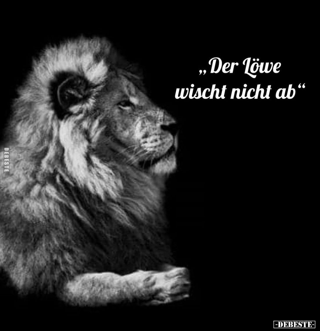 Der Löwe wischt nicht ab.