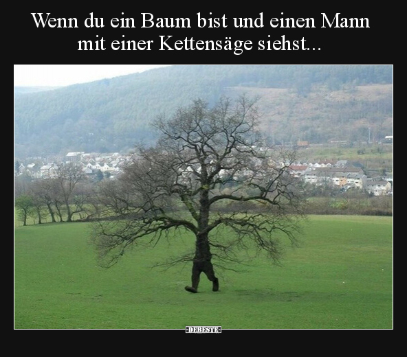 Wenn du ein Baum bist und einen Mann mit einer Kettensäge.. - Lustige Bilder | DEBESTE.de