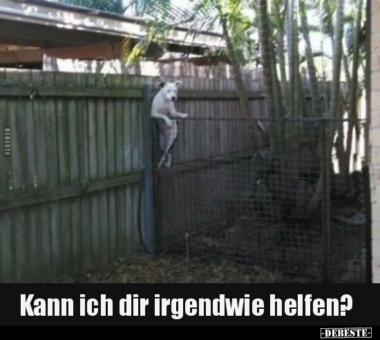 Kann ich dir irgendwie helfen?.. - Lustige Bilder | DEBESTE.de