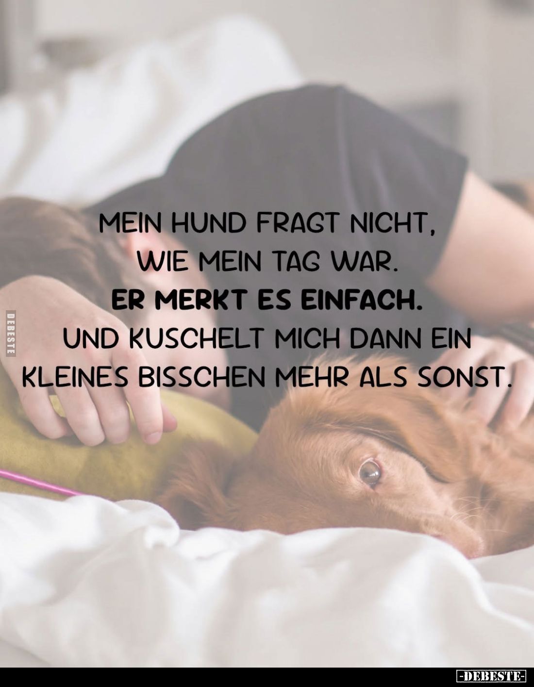 Mein Hund fragt nicht, wie mein Tag war.
Er merkt es einfach.
Und kuschelt mich dann ein kleines bisschen mehr als sonst.