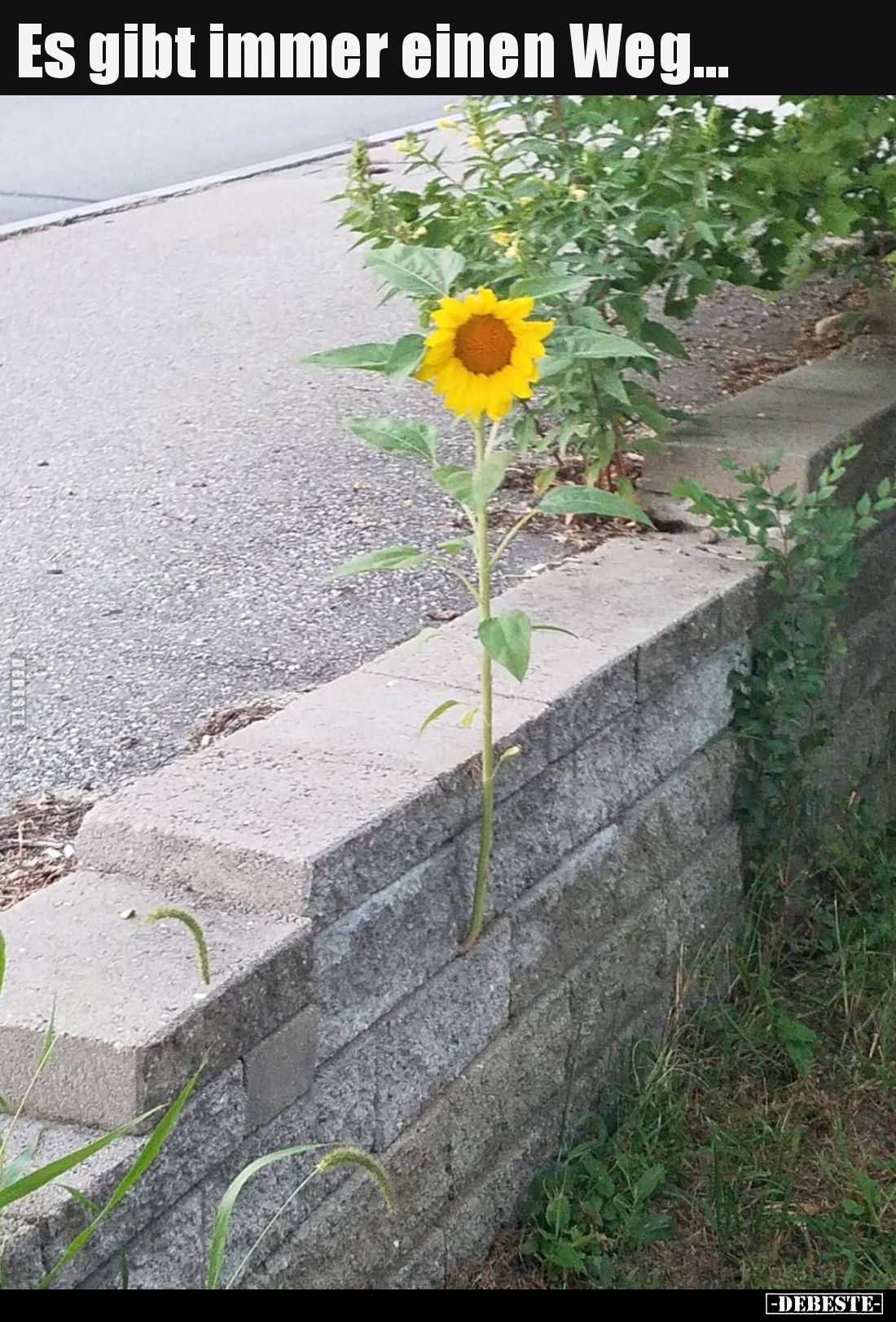 Es gibt immer einen Weg... - Lustige Bilder | DEBESTE.de