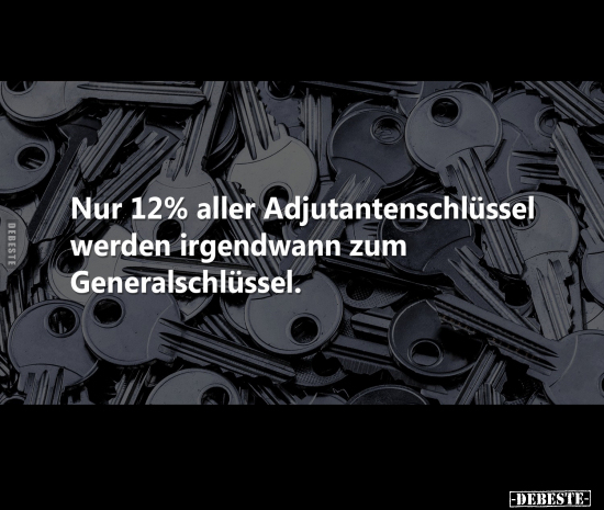 Nur 12% aller Adjutantenschlüssel werden irgendwann.. - Lustige Bilder | DEBESTE.de