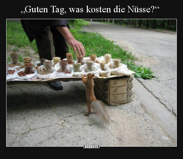 "Guten Tag, was kosten die Nüsse?".. - Lustige Bilder | DEBESTE.de