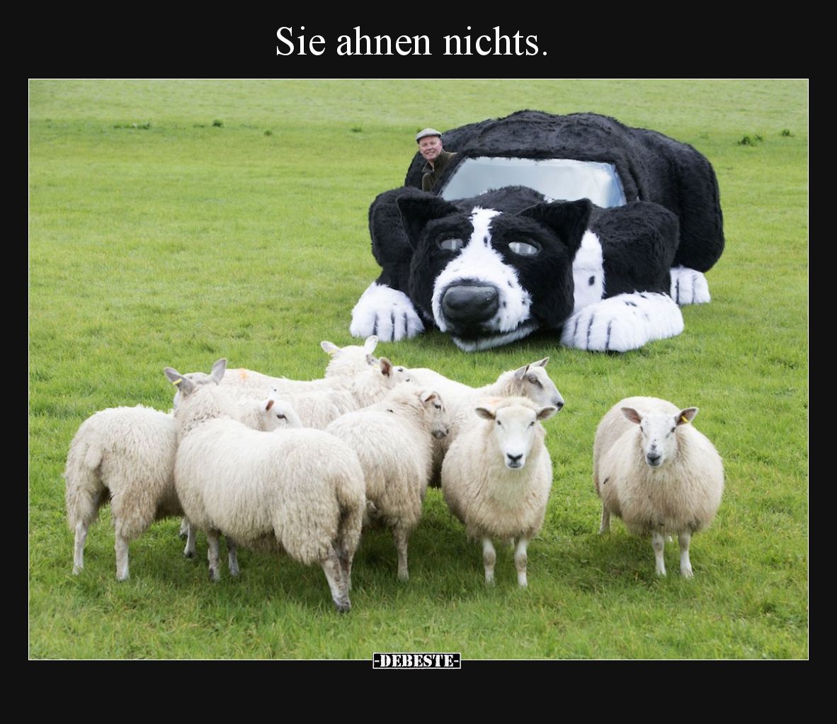 Sie ahnen nichts... - Lustige Bilder | DEBESTE.de