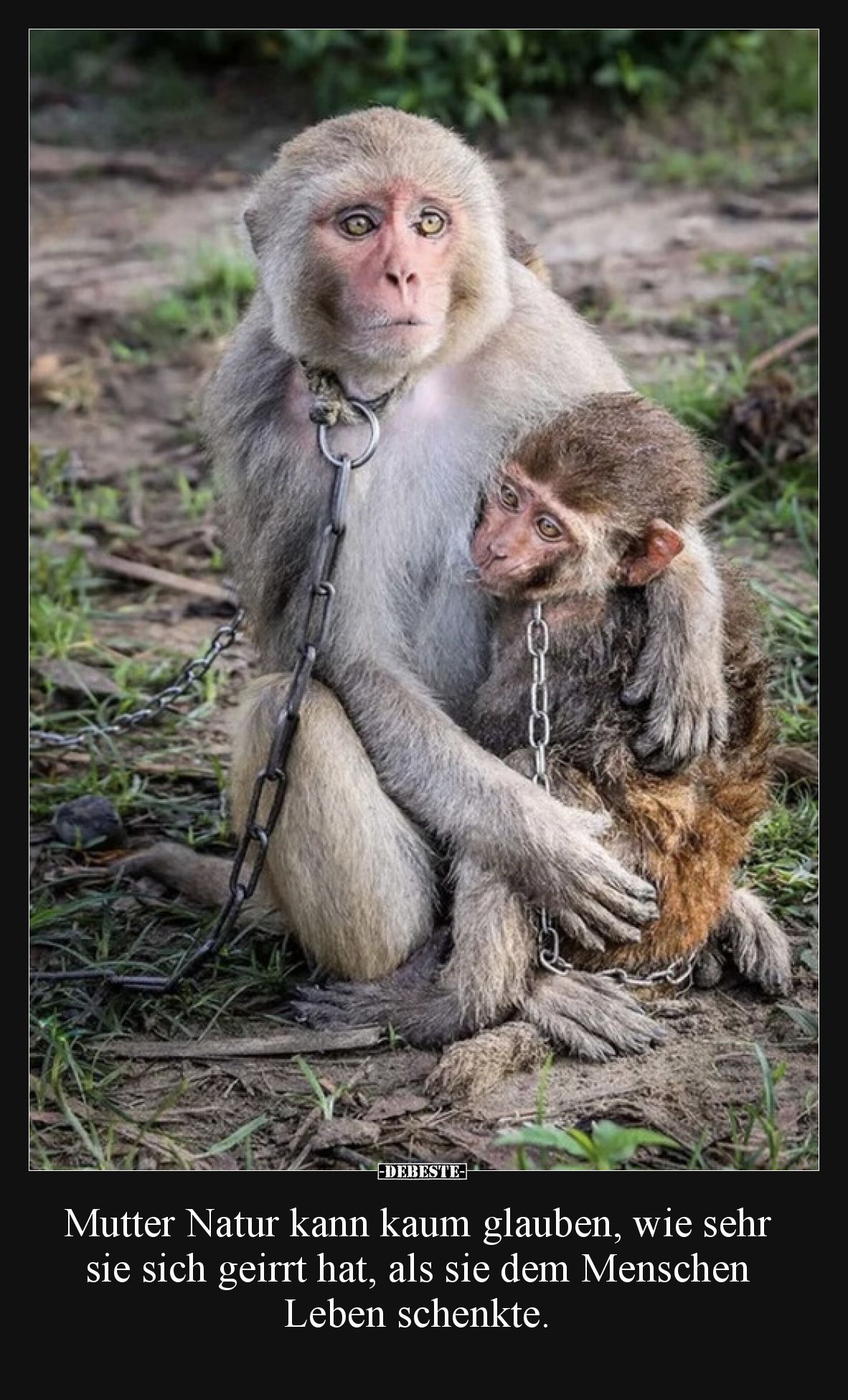 Mutter Natur kann kaum glauben, wie sehr sie sich geirrt hat, als sie dem Menschen Leben schenkte.