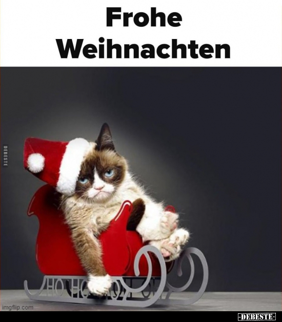Frohe Weihnachten.. - Lustige Bilder | DEBESTE.de