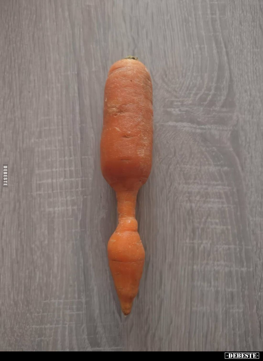  - Lustige Bilder | DEBESTE.de