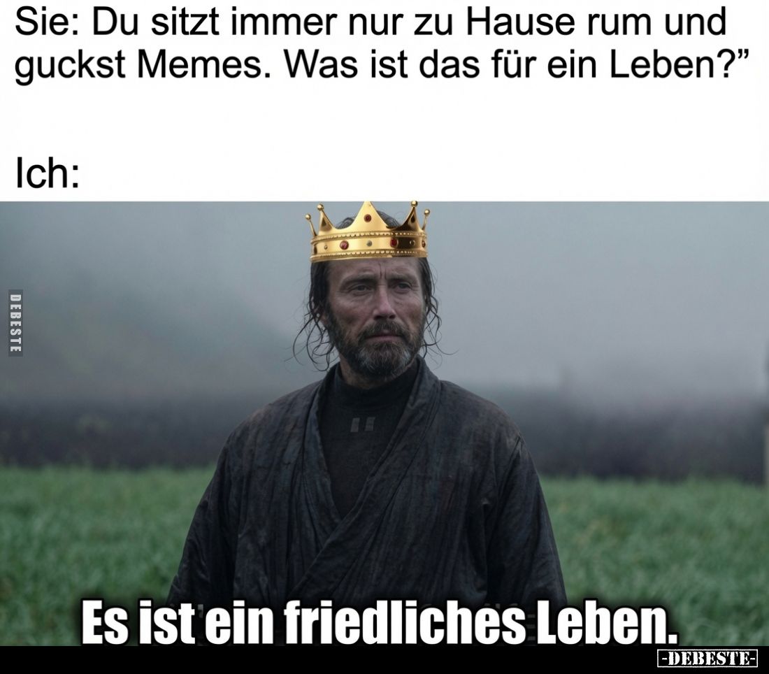 Sie: "Du sitzt immer nur zu Hause rum und guckst Memes. Was ist das für ein Leben?" -
Ich:
Es ist ein friedliches...
