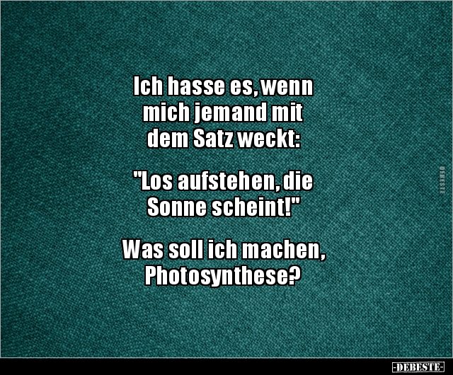 Ich hasse es, wenn mich jemand mit dem Satz.. - Lustige Bilder | DEBESTE.de