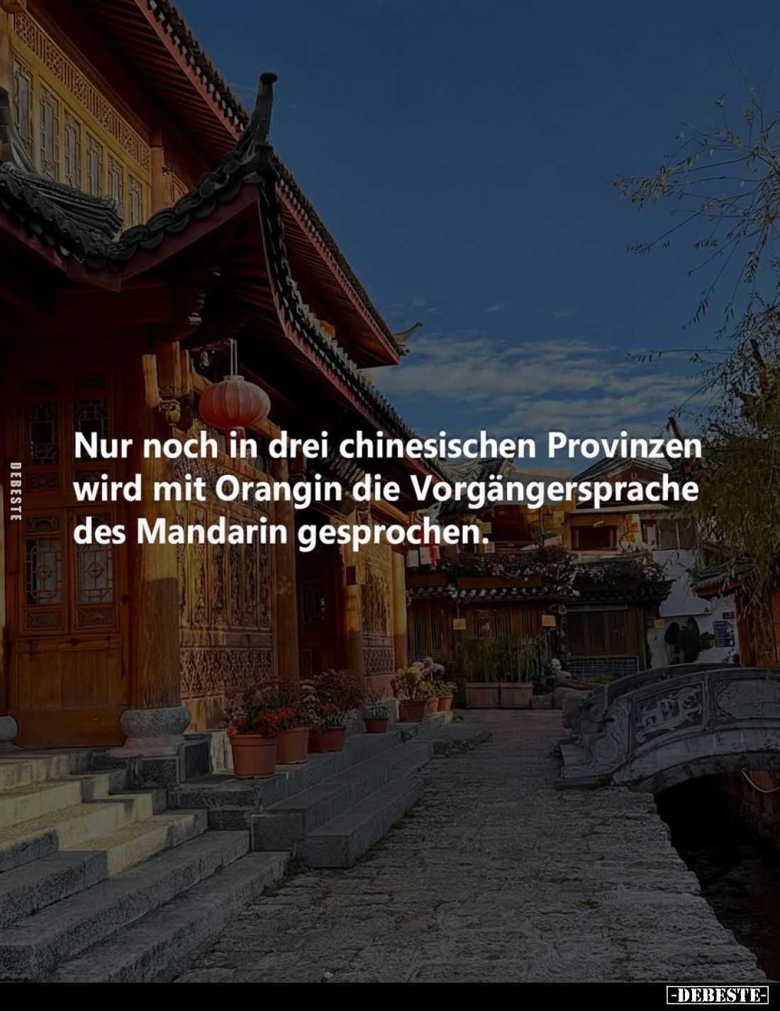 Nur noch in drei chinesischen Provinzen wird mit Orangin.. - Lustige Bilder | DEBESTE.de