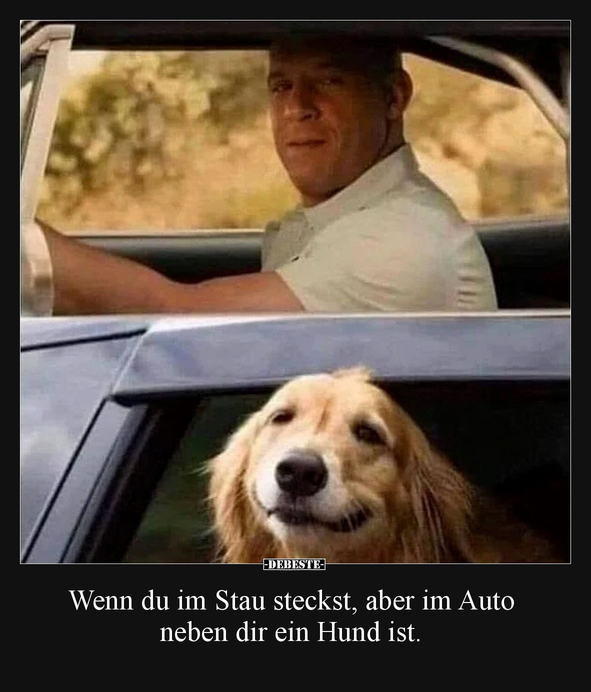 Wenn du im Stau steckst, aber im Auto neben dir ein Hund ist.