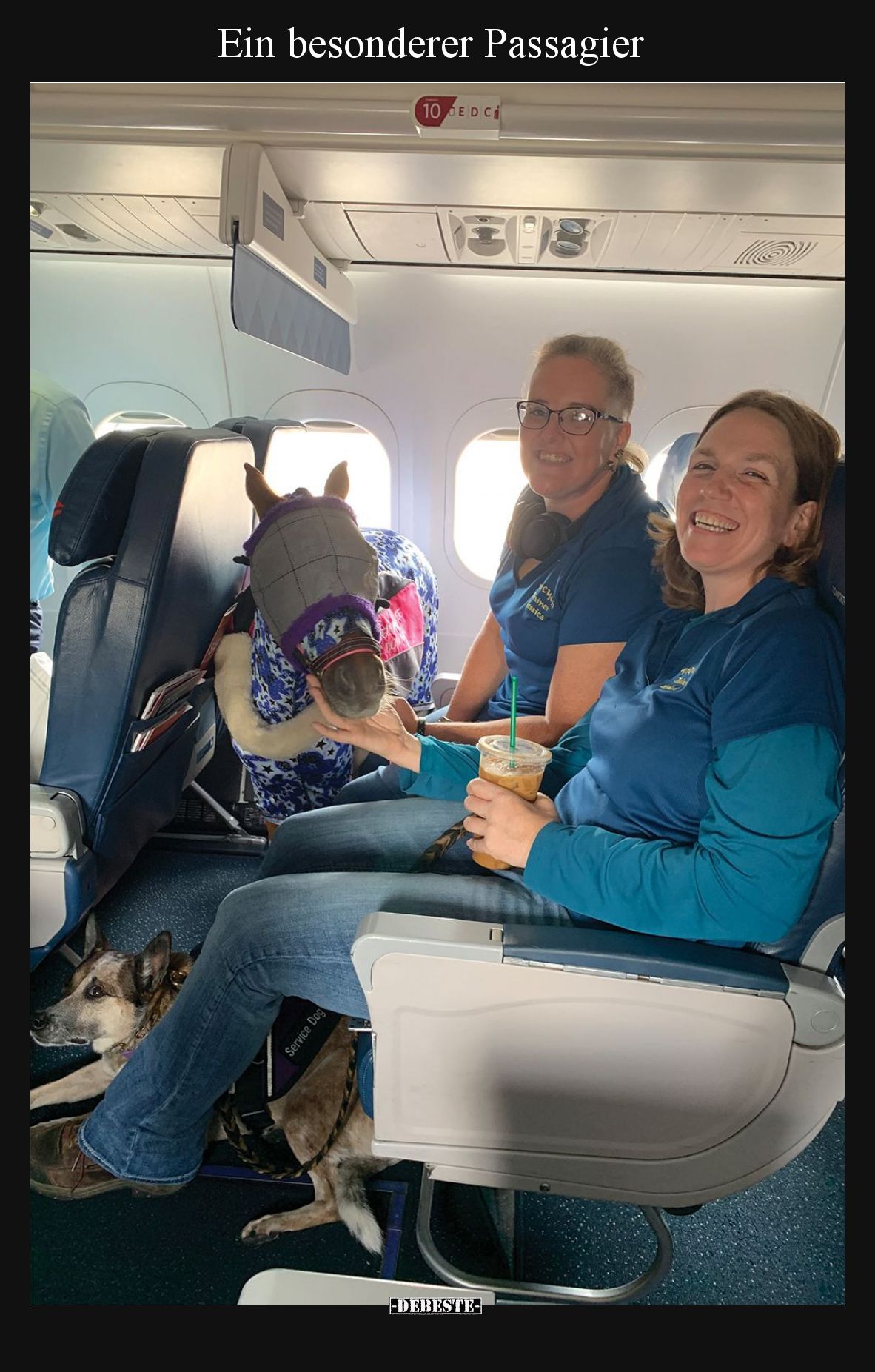 Ein besonderer Passagier