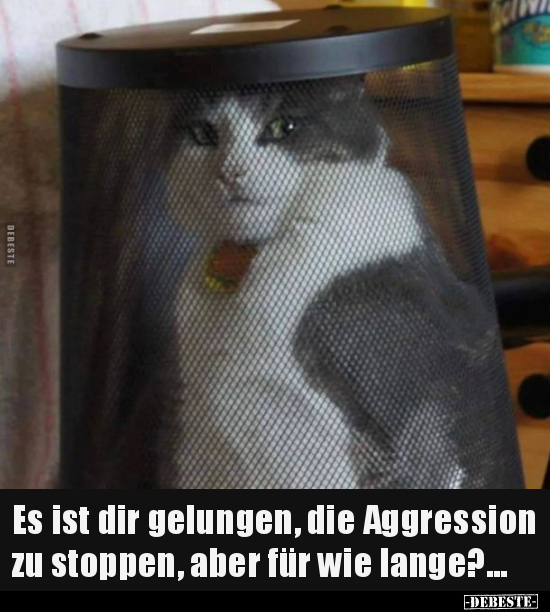 Es ist dir gelungen, die Aggression zu stoppen, aber für.. - Lustige Bilder | DEBESTE.de