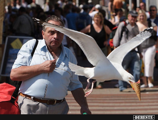 Ein sogenannter "Mövenpick"..