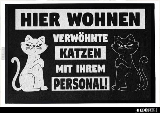 Hier wohnen verwöhnte Katzen mit ihrem Personal!.. - Lustige Bilder | DEBESTE.de