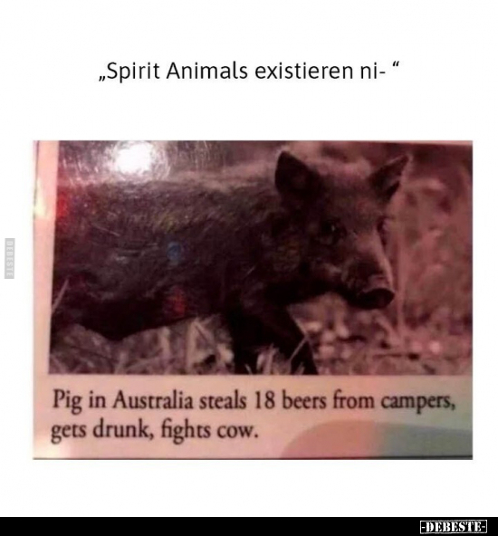 "Spirit Animals existieren ni-".. - Lustige Bilder | DEBESTE.de