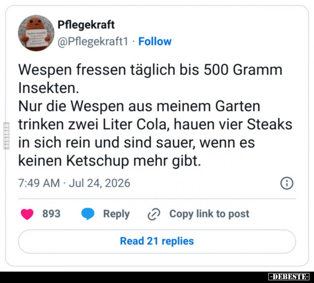 Wespen fressen täglich bis 500 Gramm Insekten.
Nur die Wespen aus meinem Garten trinken zwei Liter Cola, hauen vier Steaks i...
