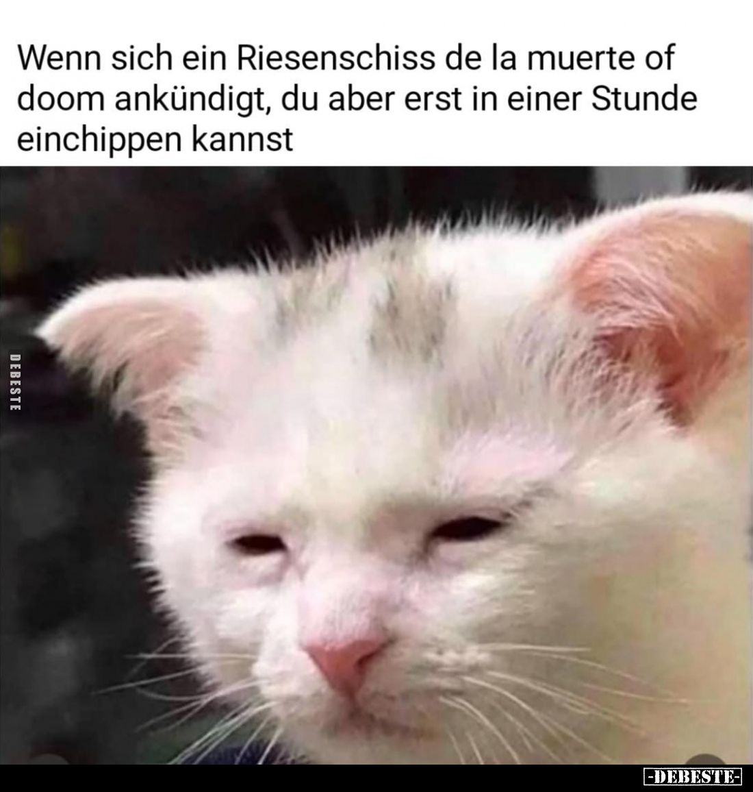 Wenn sich ein Riesenschiss de la muerte of doom ankündigt, du aber erst in einer Stunde einchippen kannst