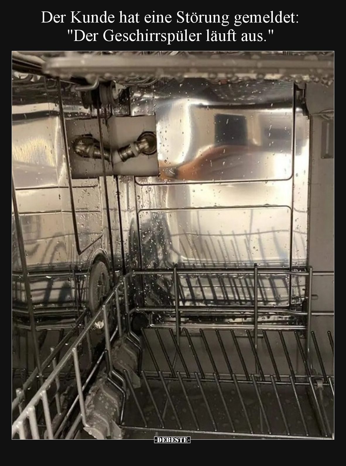 Der Kunde hat eine Störung gemeldet:  "Der Geschirrspüler läuft aus."