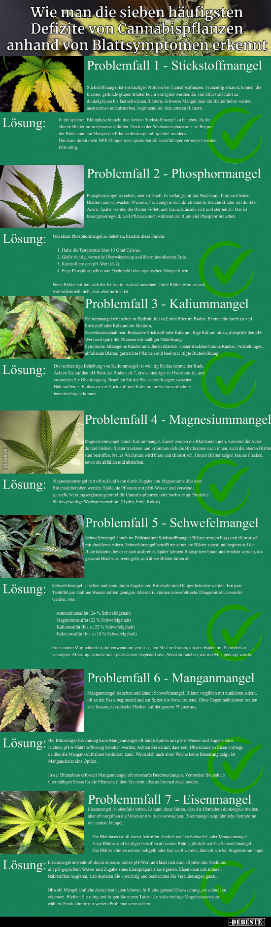 Wie man die sieben häufigsten Defizite von Cannabispflanzen.. - Lustige Bilder | DEBESTE.de