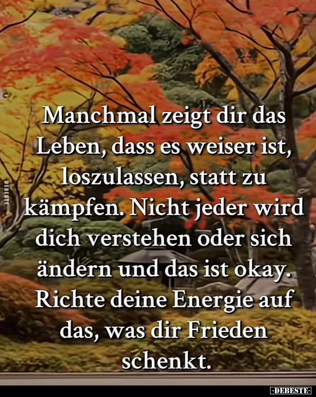 Manchmal zeigt dir das Leben, dass es weiser ist, loszulassen, statt zu kämpfen. Nicht jeder wird dich verstehen oder sich än...