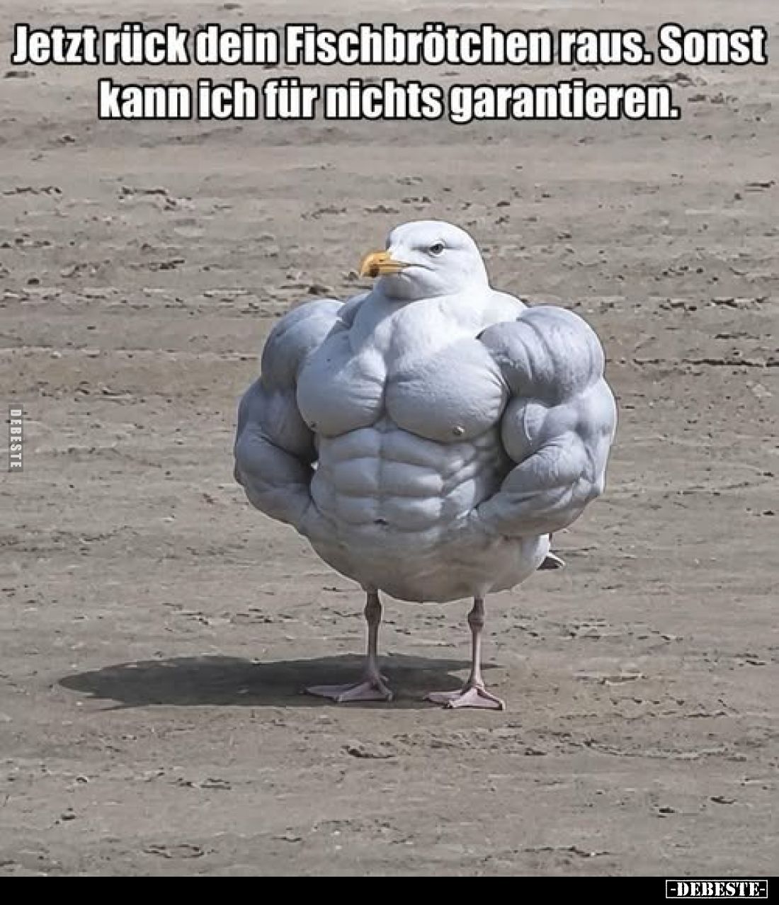 Jetzt rück dein Fischbrötchen raus. Sonst kann ich für nichts garantieren.