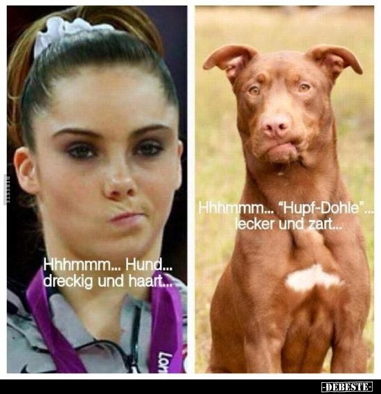 Hhhmmm... Hund... dreckig und haart...